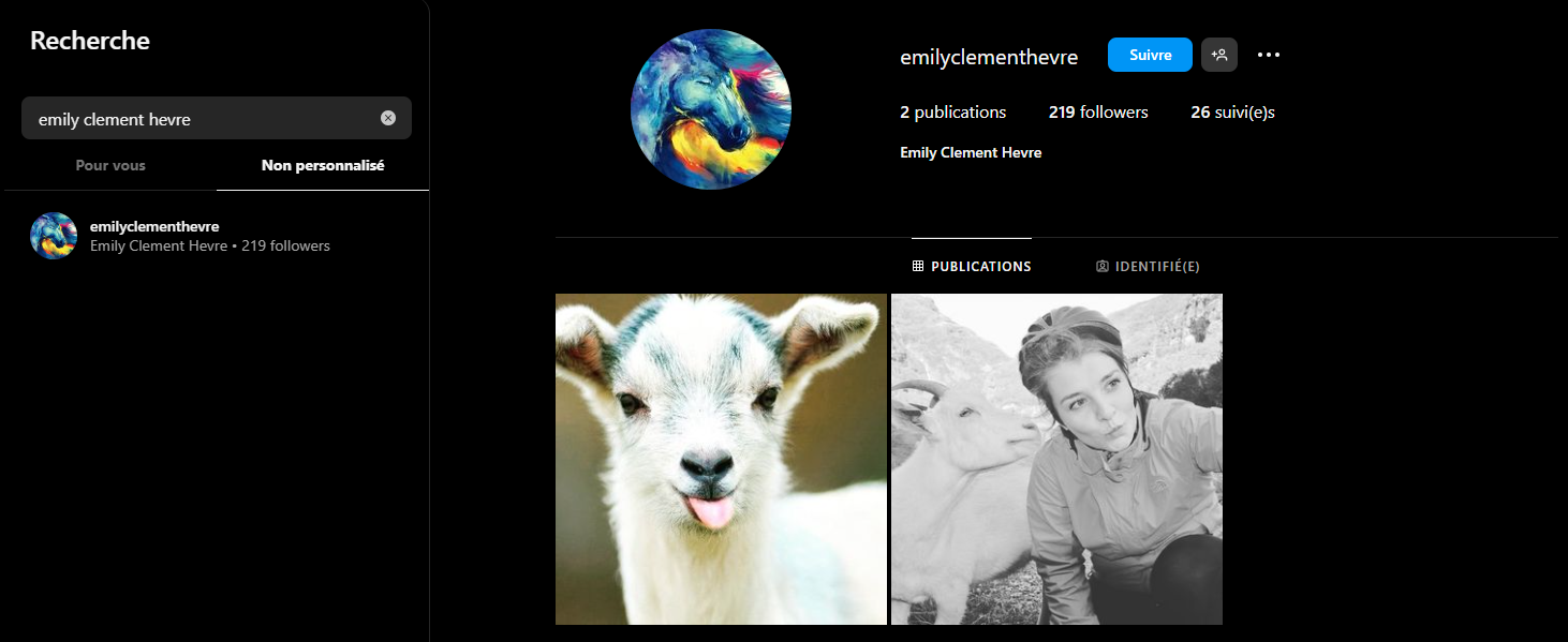 Compte Instagram et animal préféré